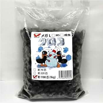 冷凍クロコL約1000匹1kg冷凍コオロギ Amazon | 【邑楽ファーム】【クール便発送】冷凍クロコオロギ